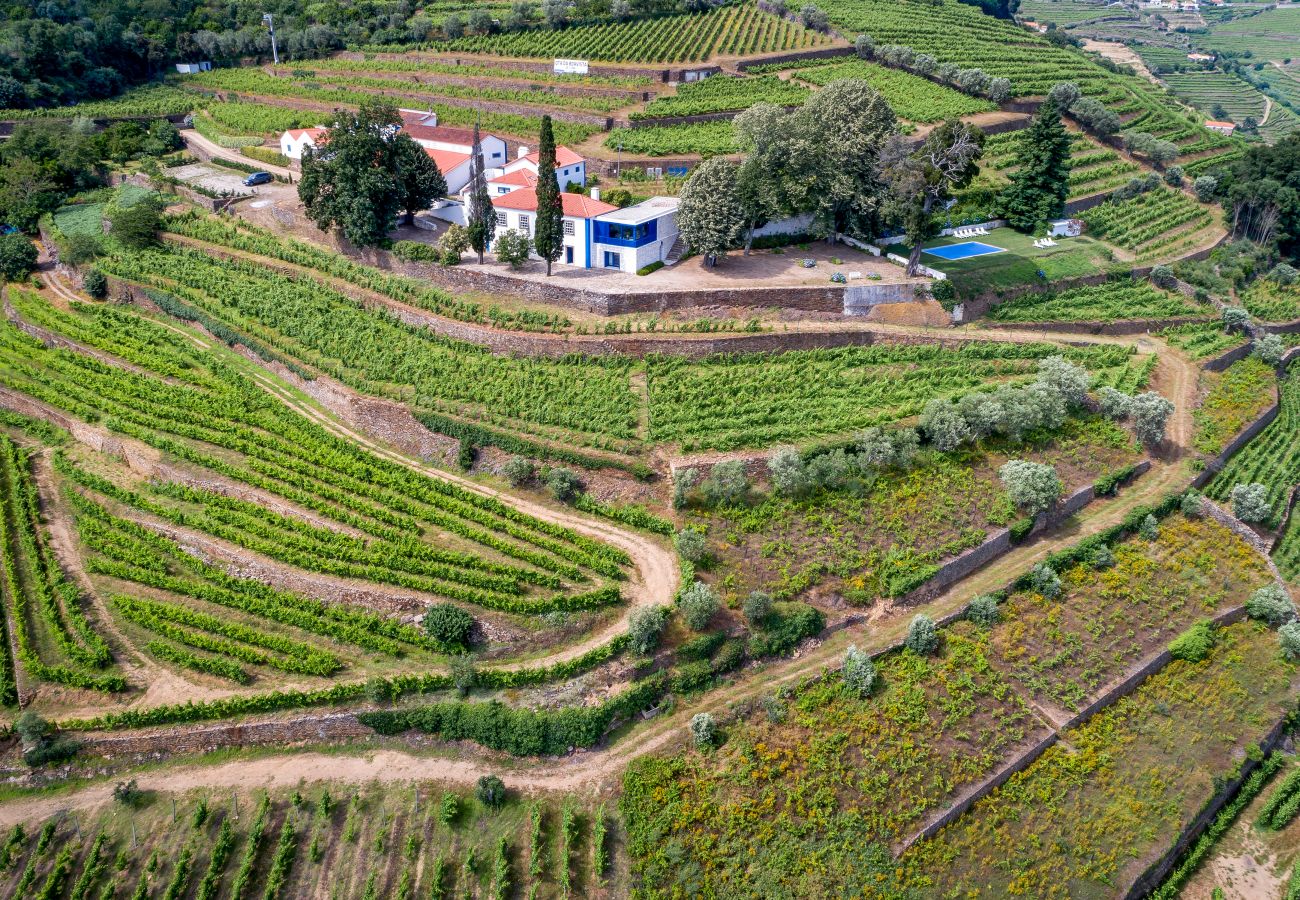 Villa in Mesão Frio - Douro Heights