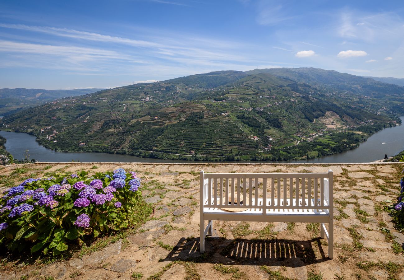 Villa in Mesão Frio - Douro Heights