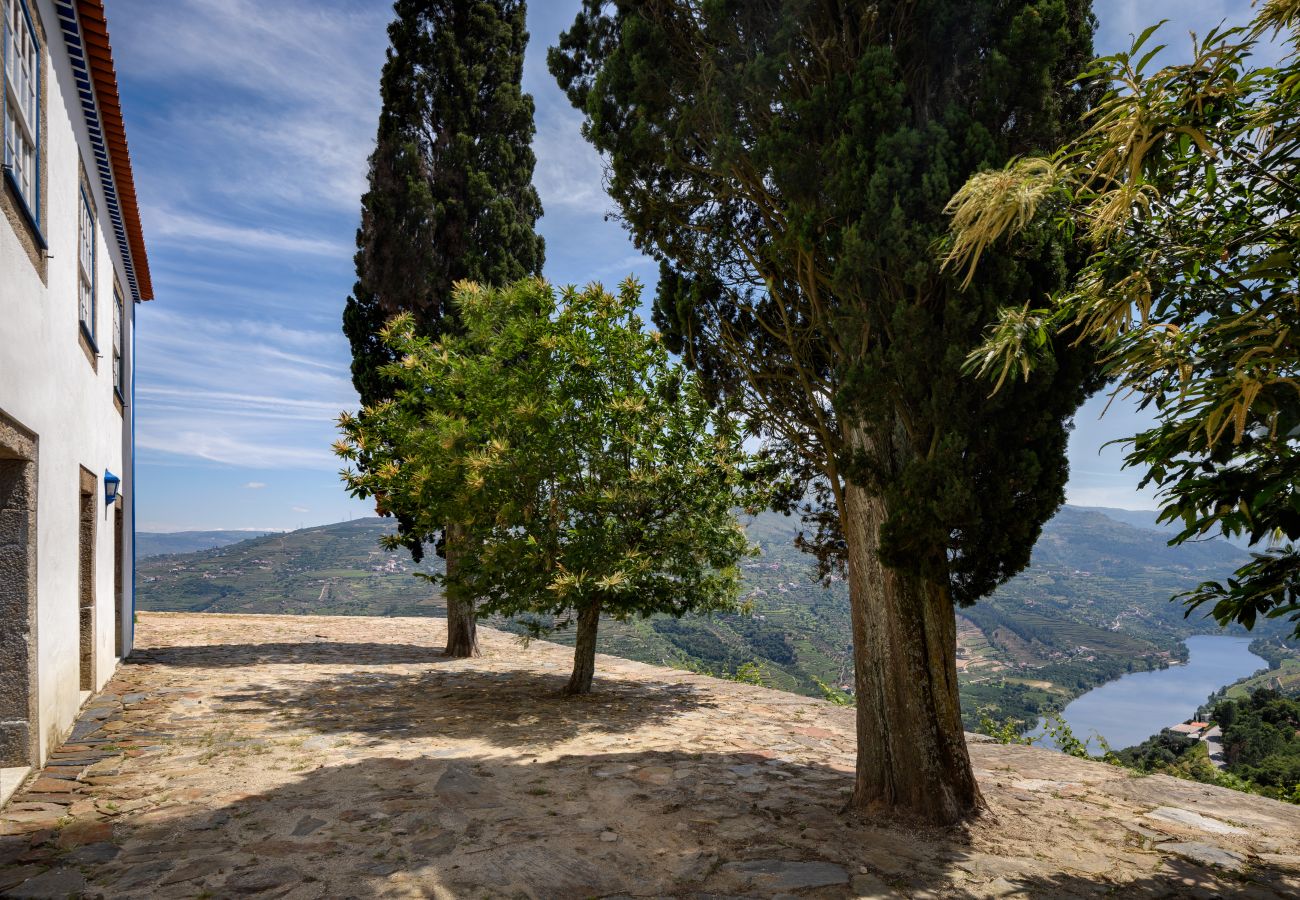 Villa in Mesão Frio - Douro Heights