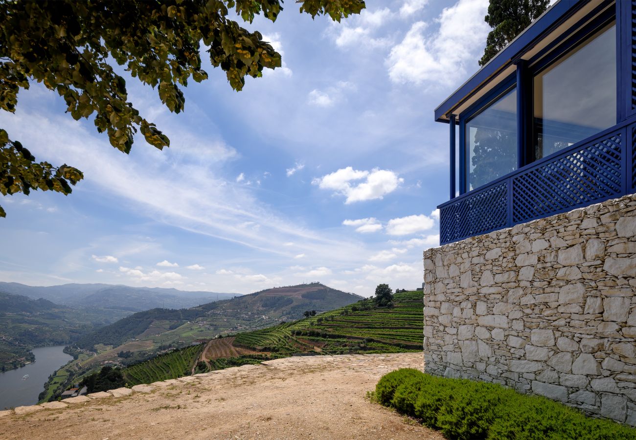 Villa in Mesão Frio - Douro Heights