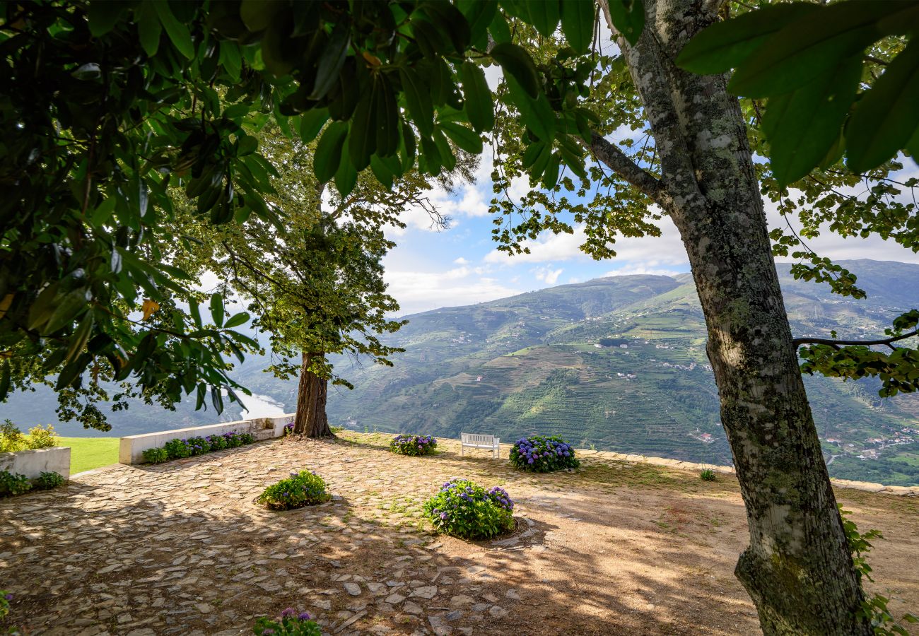 Villa in Mesão Frio - Douro Heights