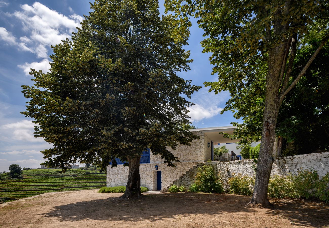 Villa in Mesão Frio - Douro Heights