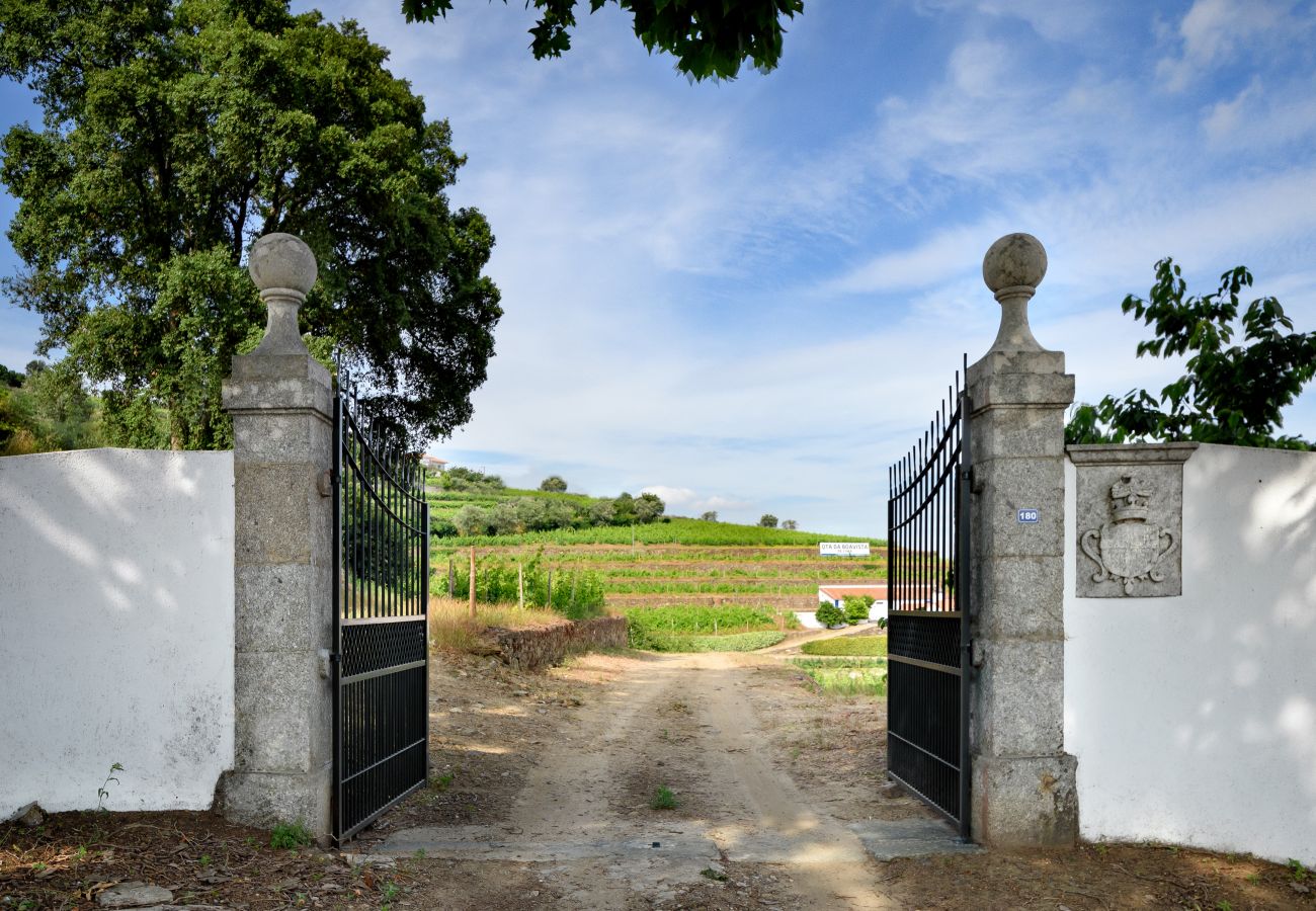 Villa in Mesão Frio - Douro Heights