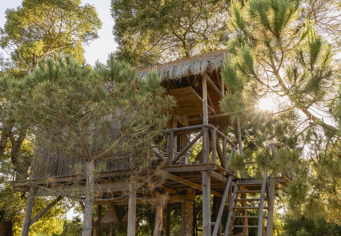 Villa in Comporta - A Comporta Tree House