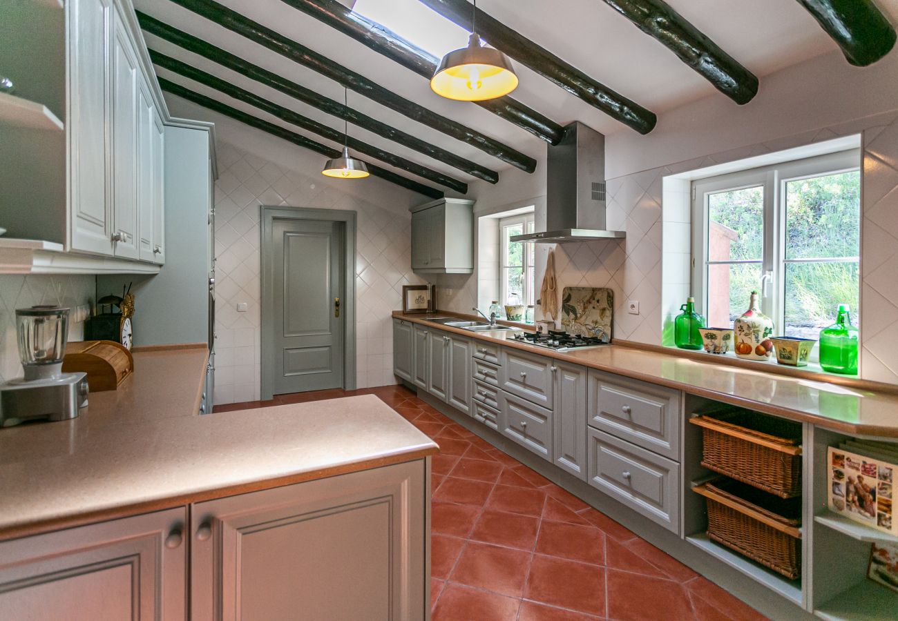 Villa in Azeitão - Arrábida Pine Retreat
