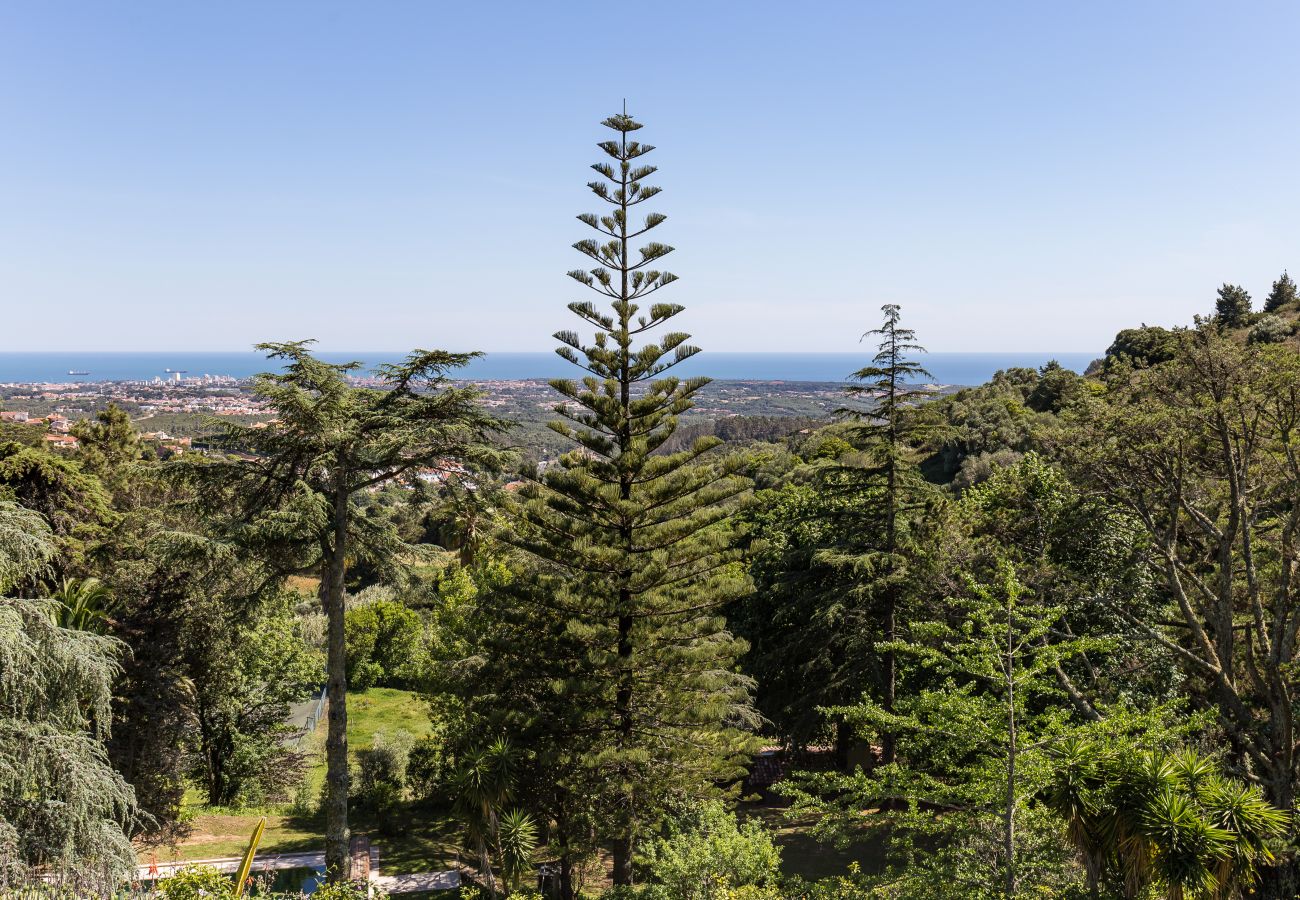 Villa in Cascais - Firefly Quinta