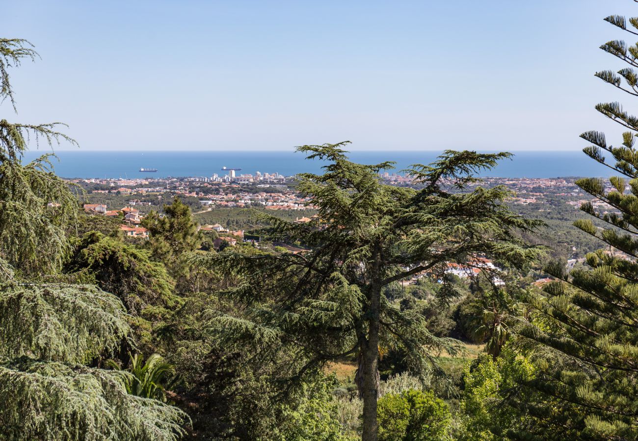 Villa in Cascais - Firefly Quinta