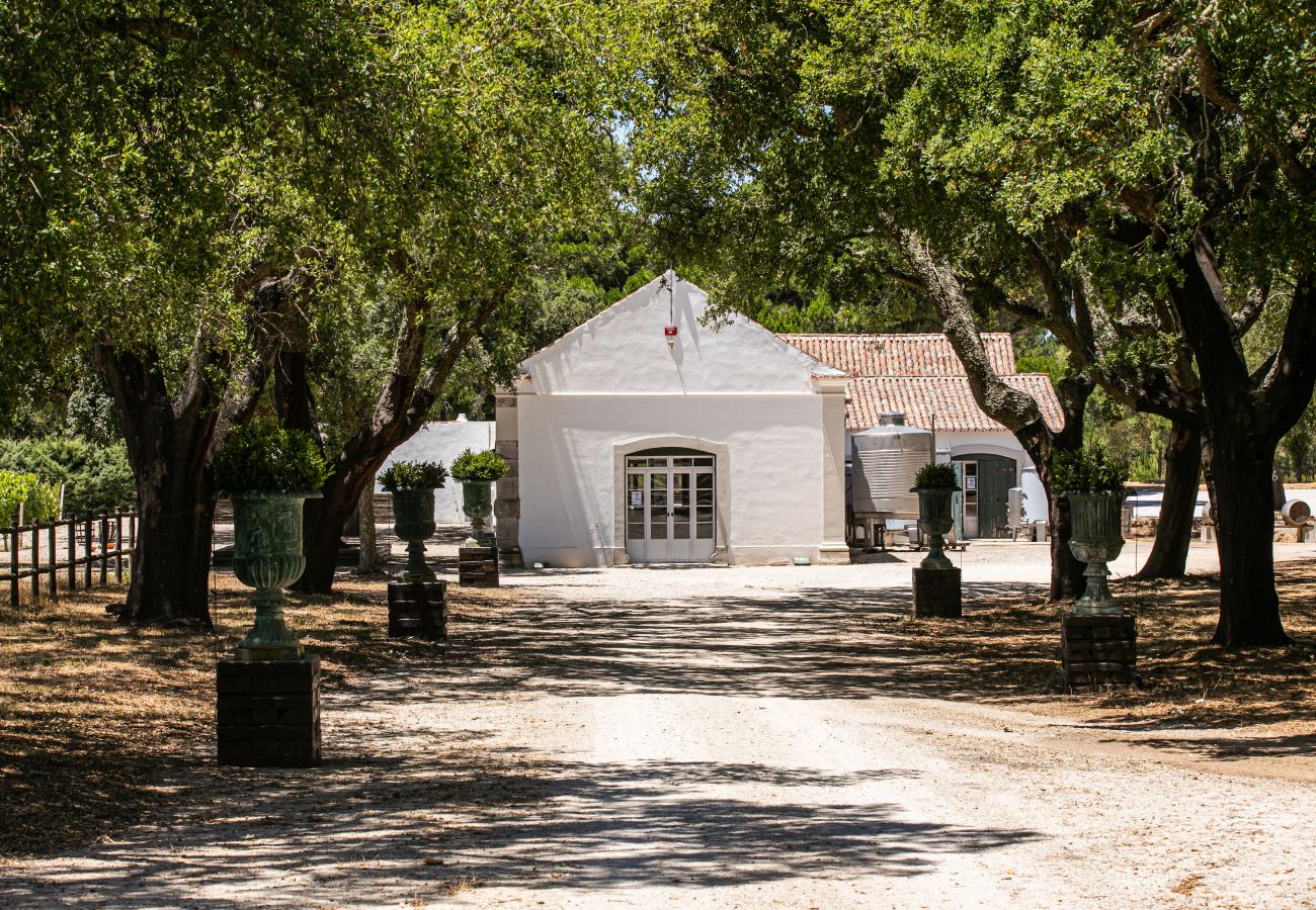 Villa in Azeitão - Arrábida Estate