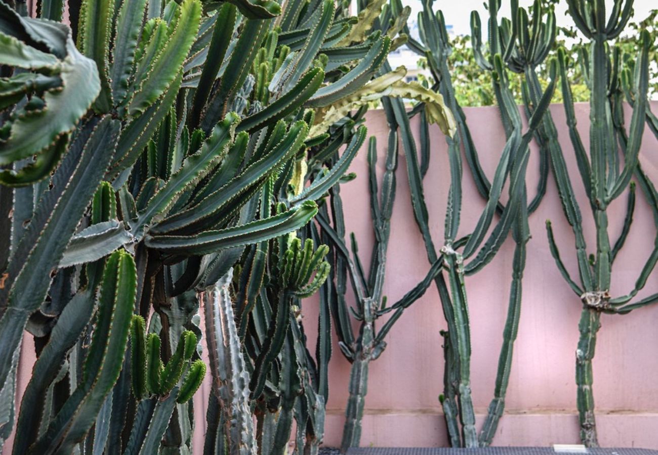 Terraced House in Portimão - Casa Ana Ana