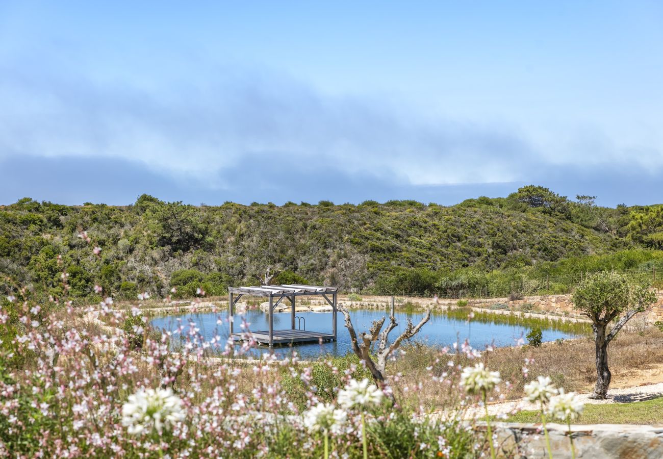 Villa in Odeceixe - The Ocean Farm