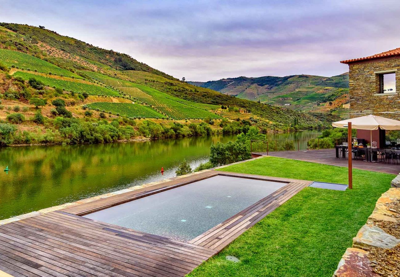 Villa in Vila Real - Douro Vineyard Villa