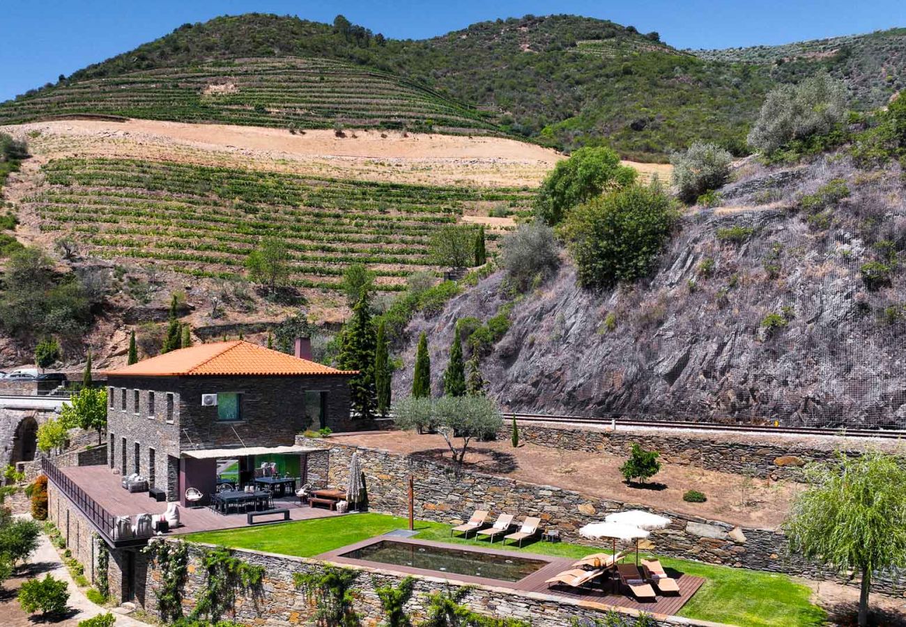 Villa in Vila Real - Douro Vineyard Villa