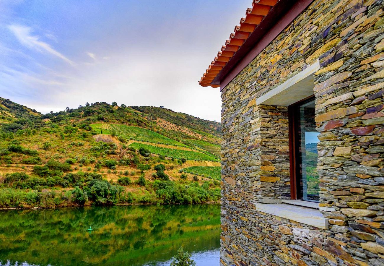 Villa in Vila Real - Douro Vineyard Villa