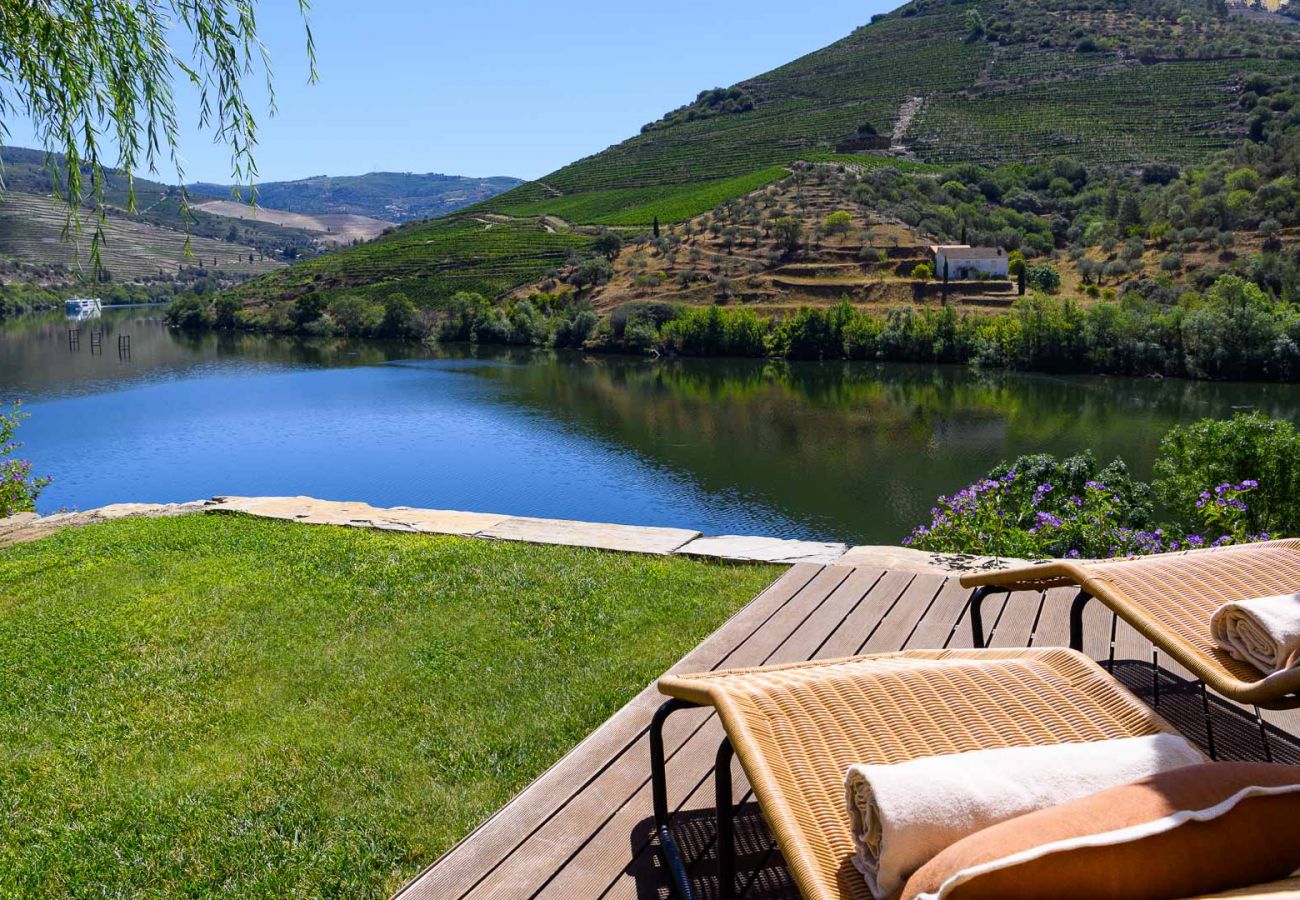 Villa in Vila Real - Douro Vineyard Villa