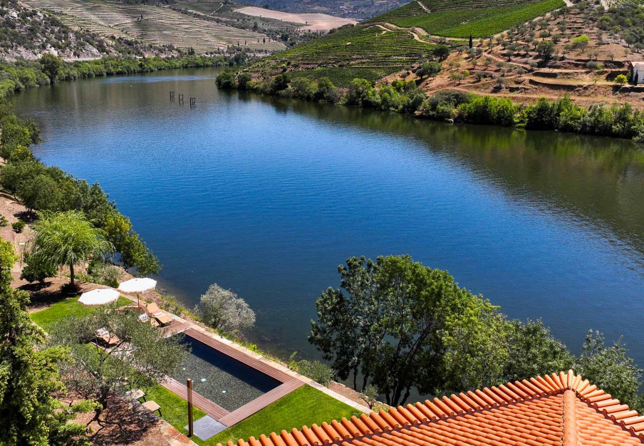 Villa in Vila Real - Douro Vineyard Villa