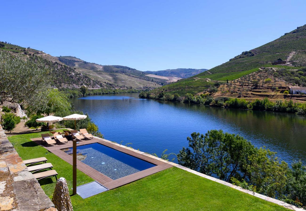 Villa in Vila Real - Douro Vineyard Villa