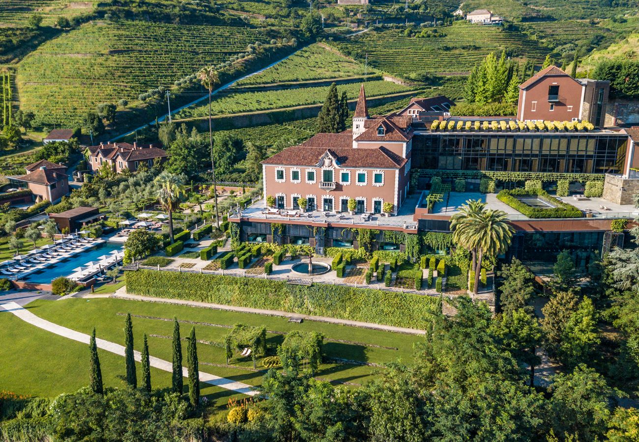 Villa in Samodães - Douro Luxury Escape