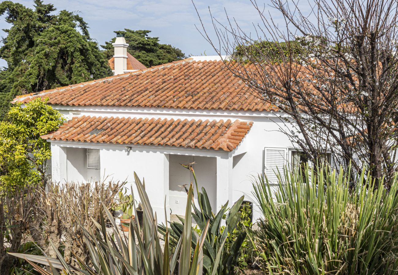 Villa in Estoril - Estoril Contemporary Garden Villa