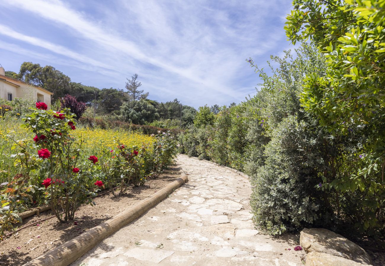 Villa in Sintra - Quinta da Oliveira