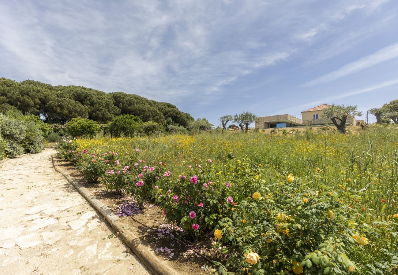 Villa in Sintra - Quinta da Oliveira