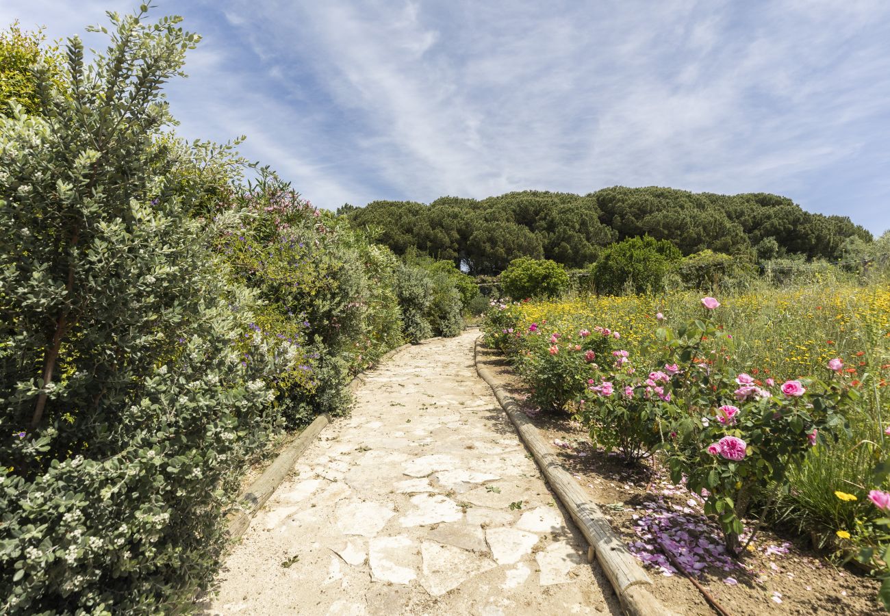 Villa in Sintra - Quinta da Oliveira