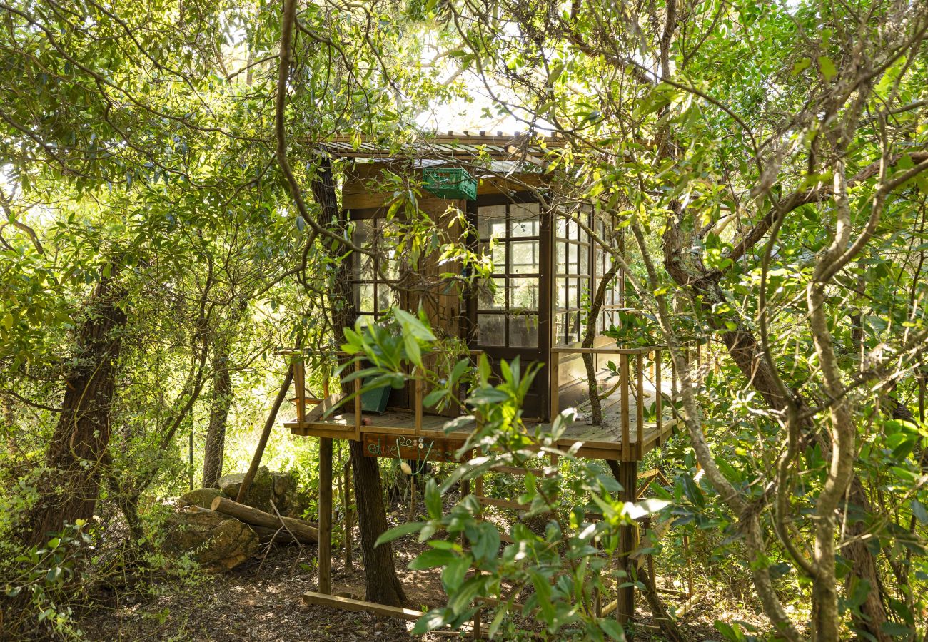 Villa in Malveira da Serra - A Pines & Palms Estate