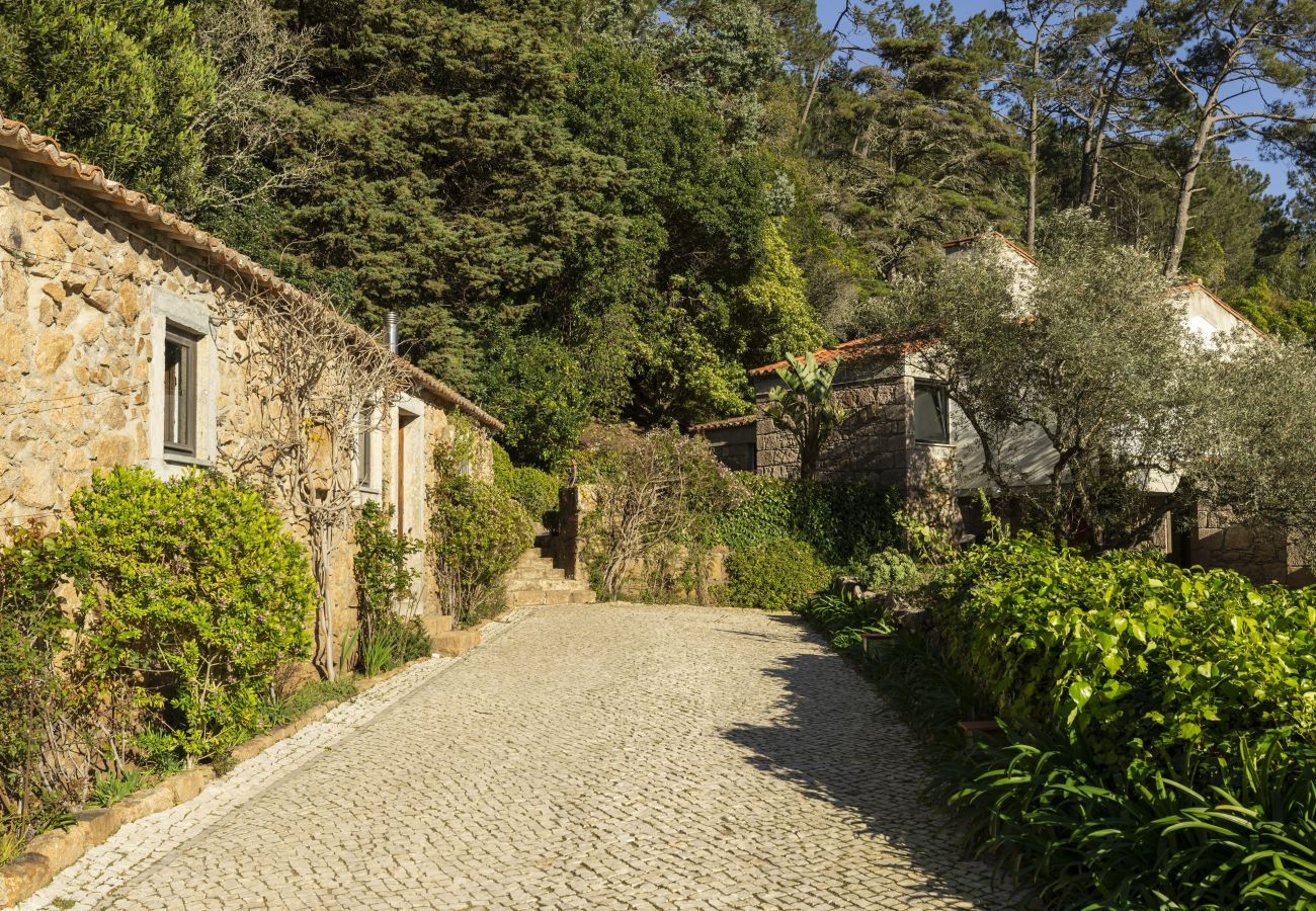 Villa in Malveira da Serra - A Pines & Palms Estate