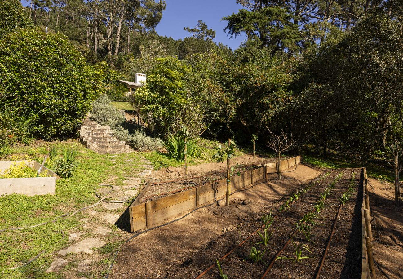 Villa in Malveira da Serra - A Pines & Palms Estate