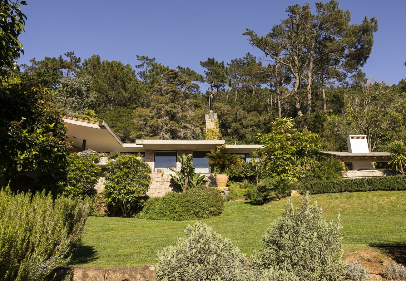 Villa in Malveira da Serra - A Pines & Palms Estate