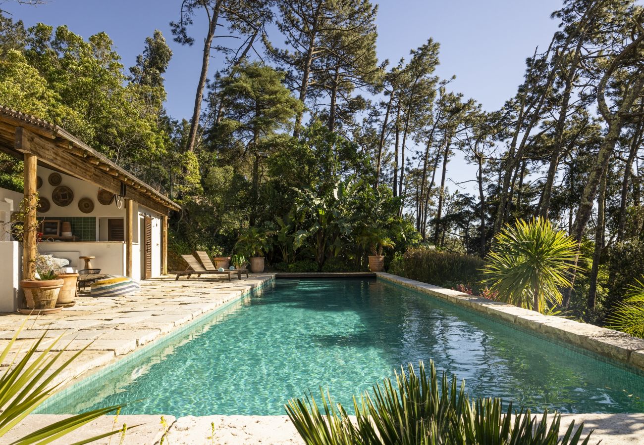 Villa in Malveira da Serra - A Pines & Palms Estate