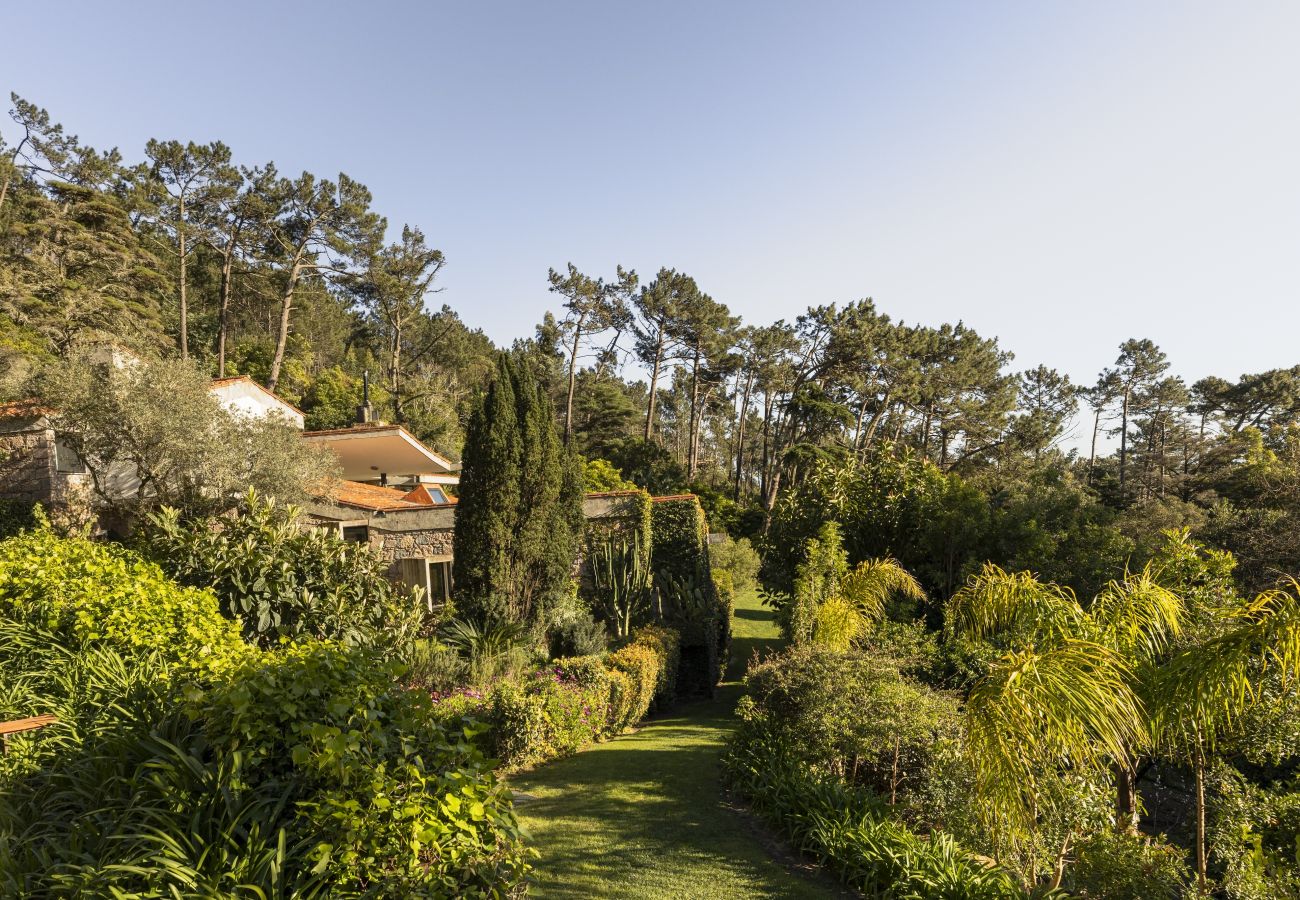 Villa in Malveira da Serra - A Pines & Palms Estate