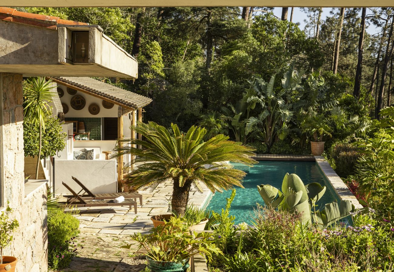 Villa in Malveira da Serra - A Pines & Palms Estate