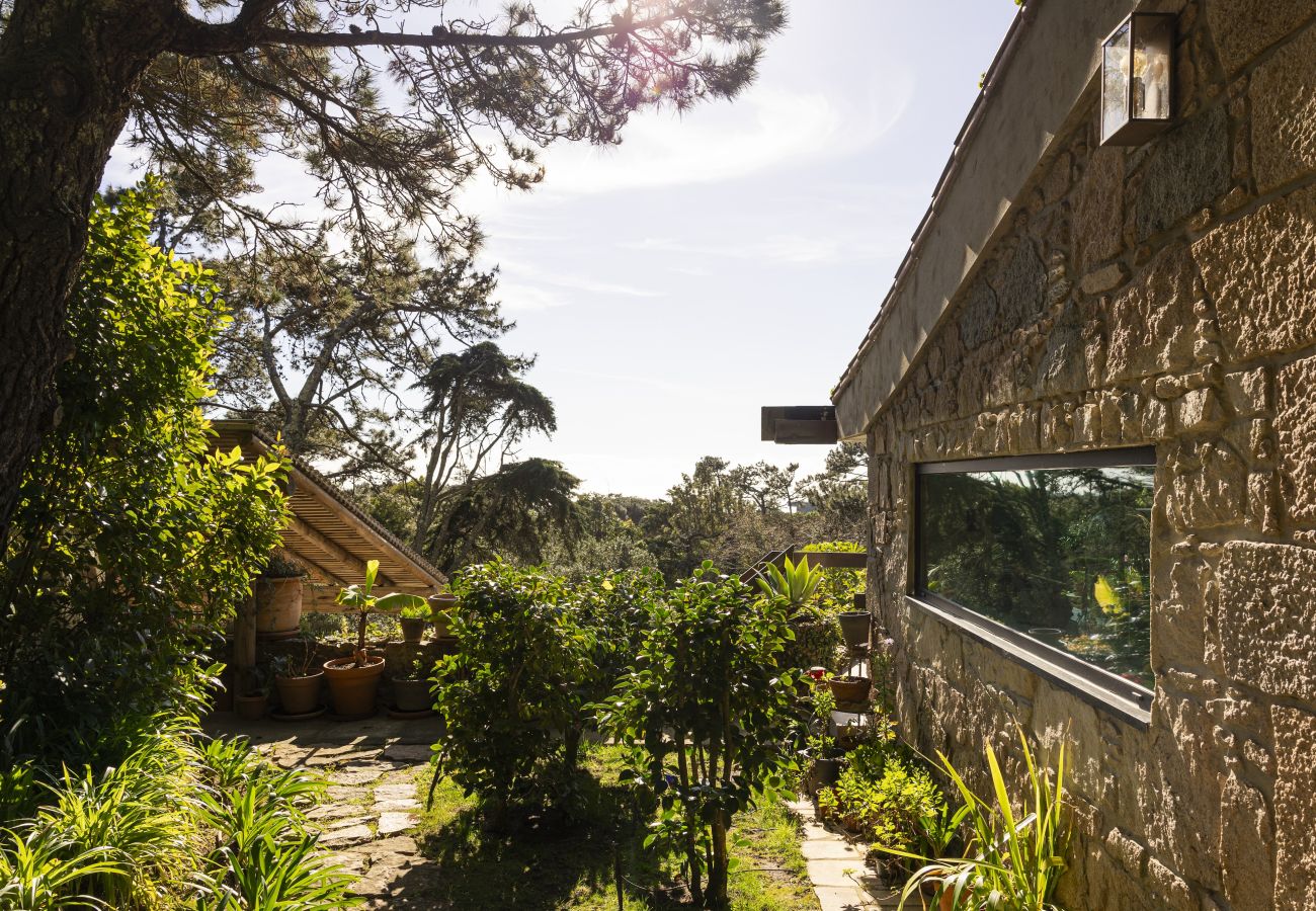 Villa in Malveira da Serra - A Pines & Palms Estate