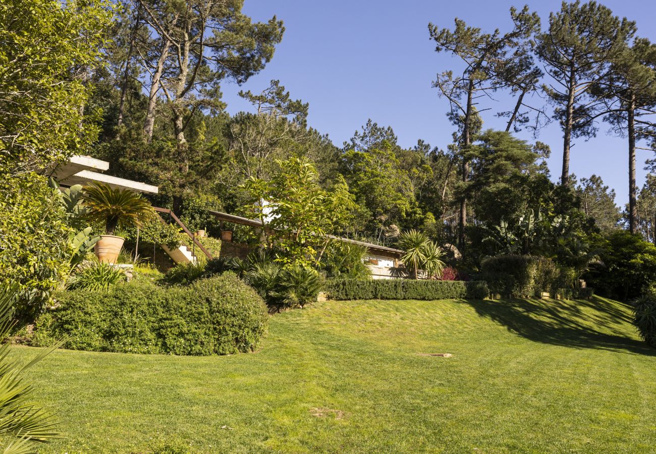 Villa in Malveira da Serra - A Pines & Palms Estate