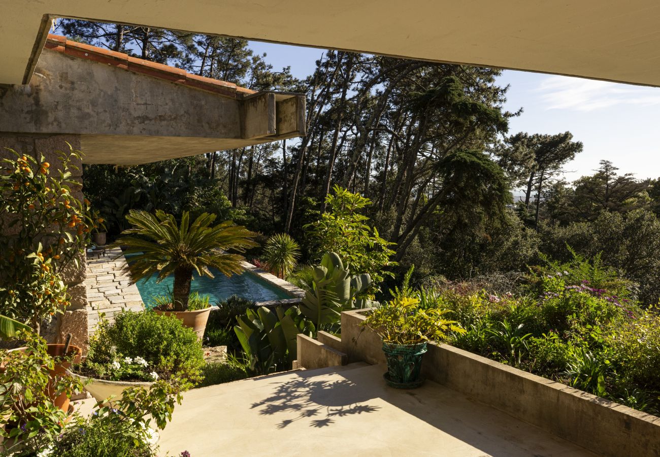 Villa in Malveira da Serra - A Pines & Palms Estate