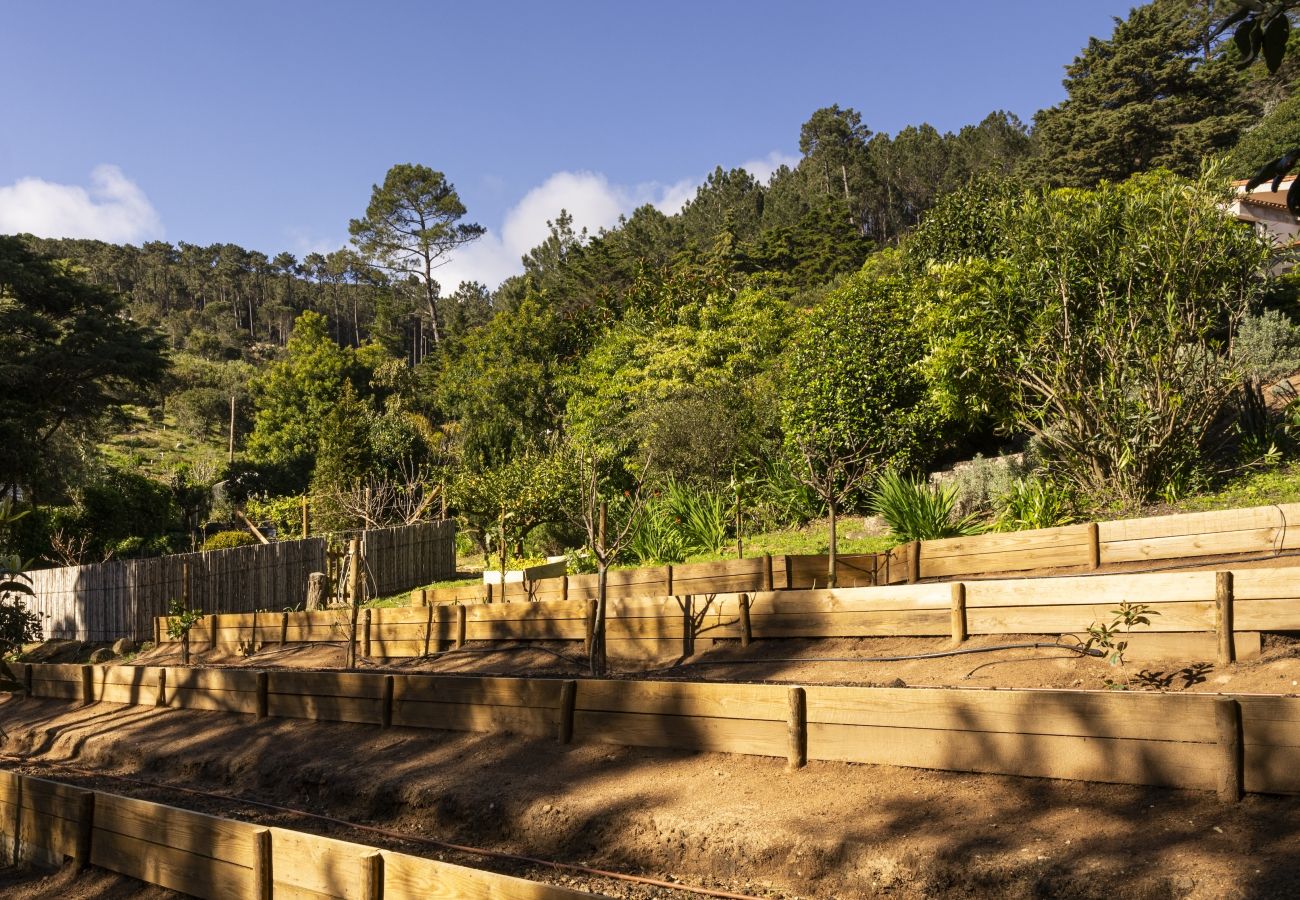 Villa in Malveira da Serra - A Pines & Palms Estate