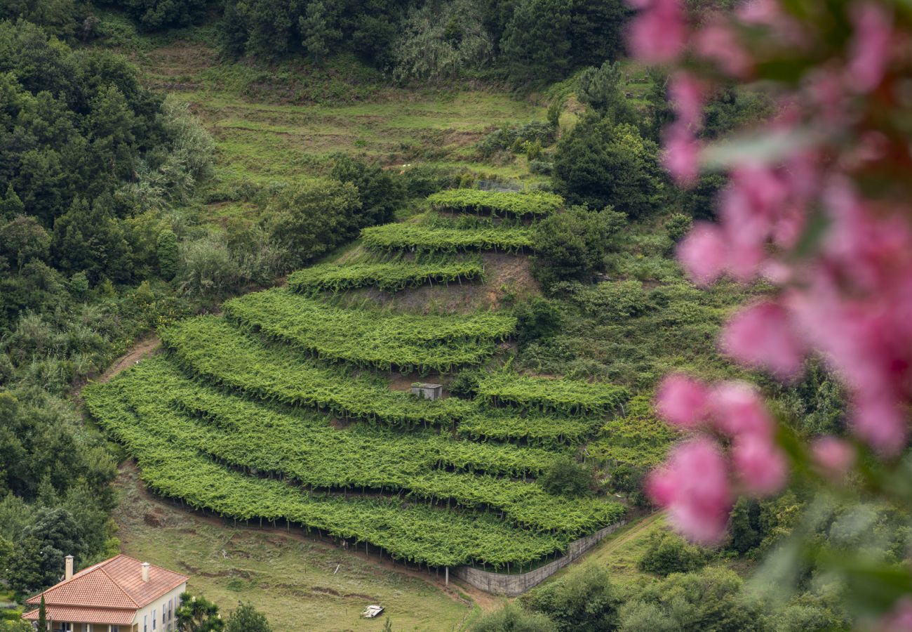 House in São Vicente - Hazelwood Retreat