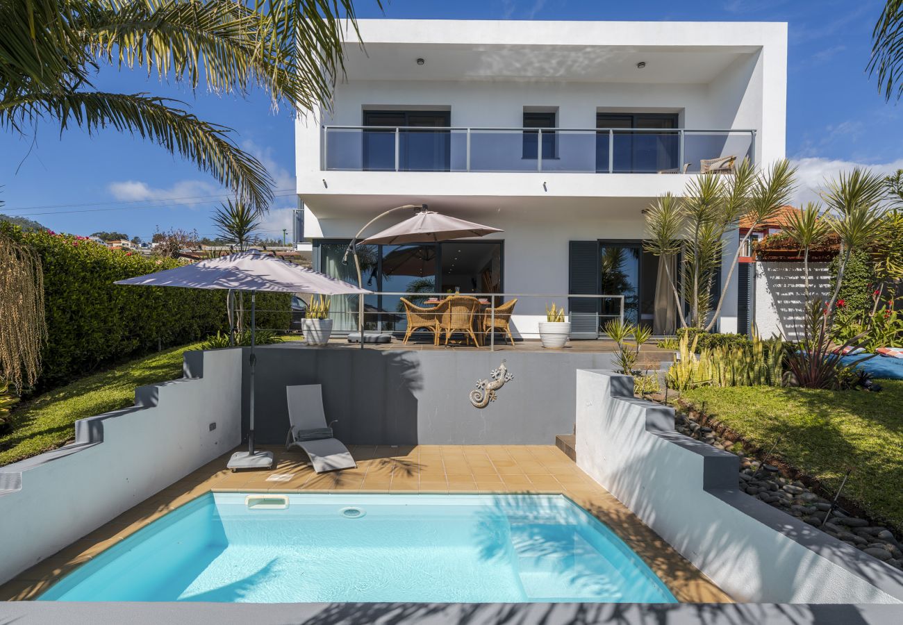 Villa in Calheta - The Palmwood Garden