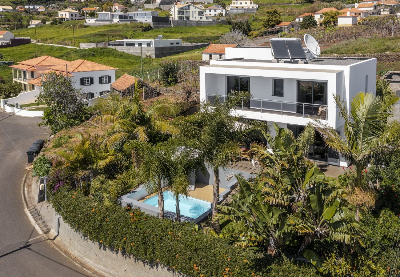 Villa in Calheta - The Palmwood Garden