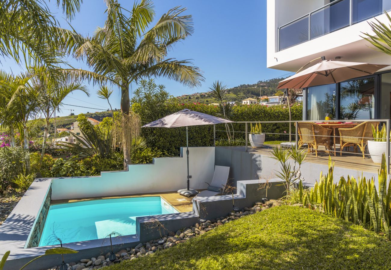 Villa in Calheta - The Palmwood Garden