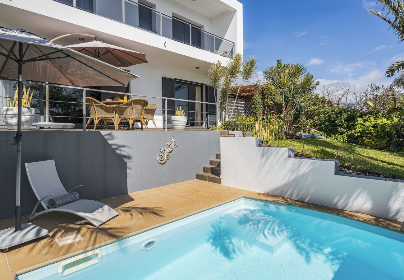 Villa in Calheta - The Palmwood Garden
