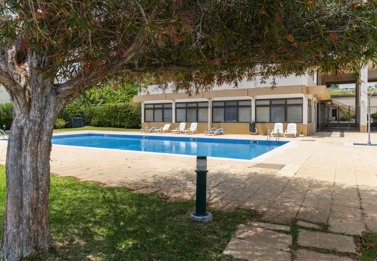 Apartment in Funchal - Oaklight Sea Apartment