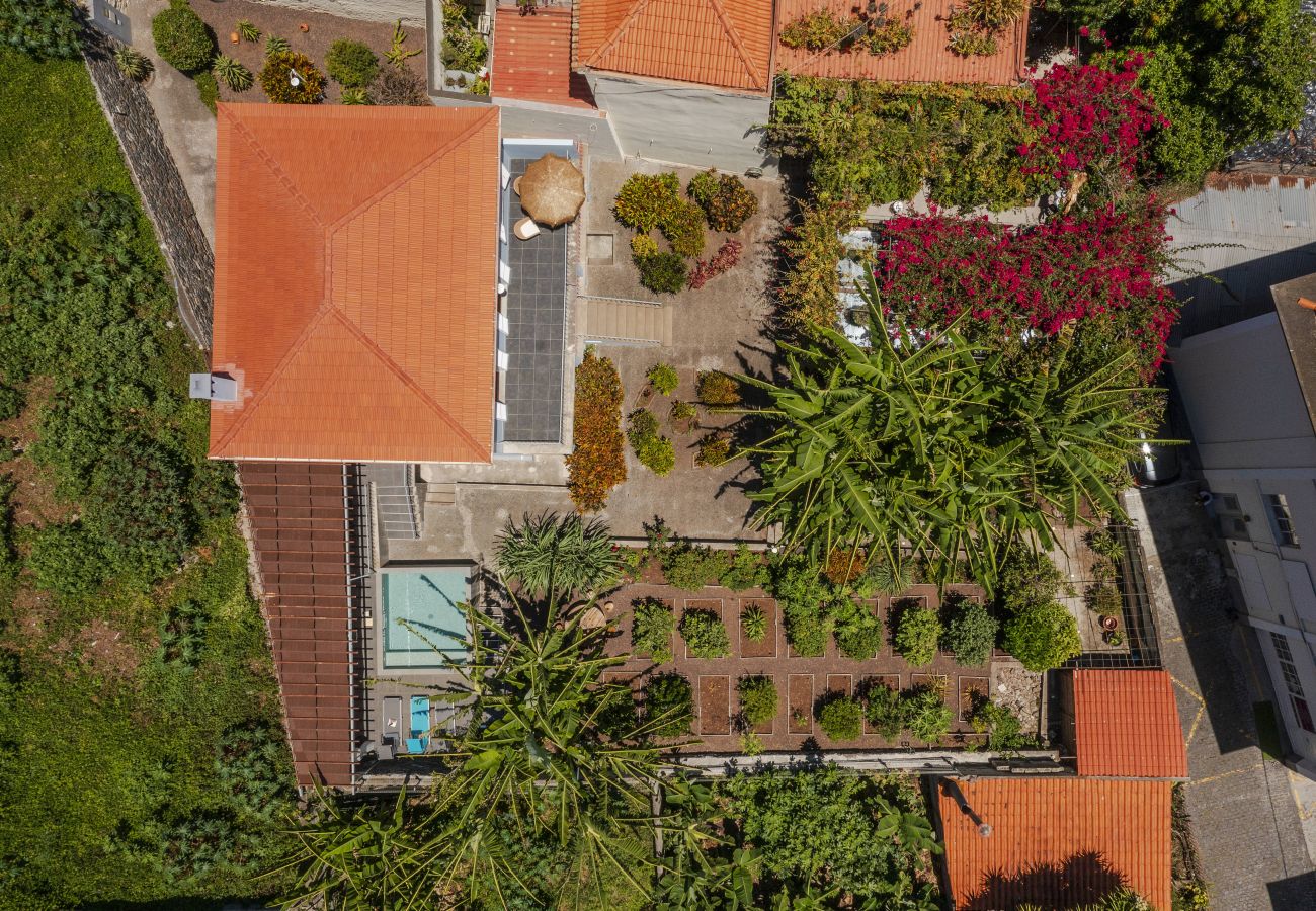Villa in Funchal - Dragon Tree House