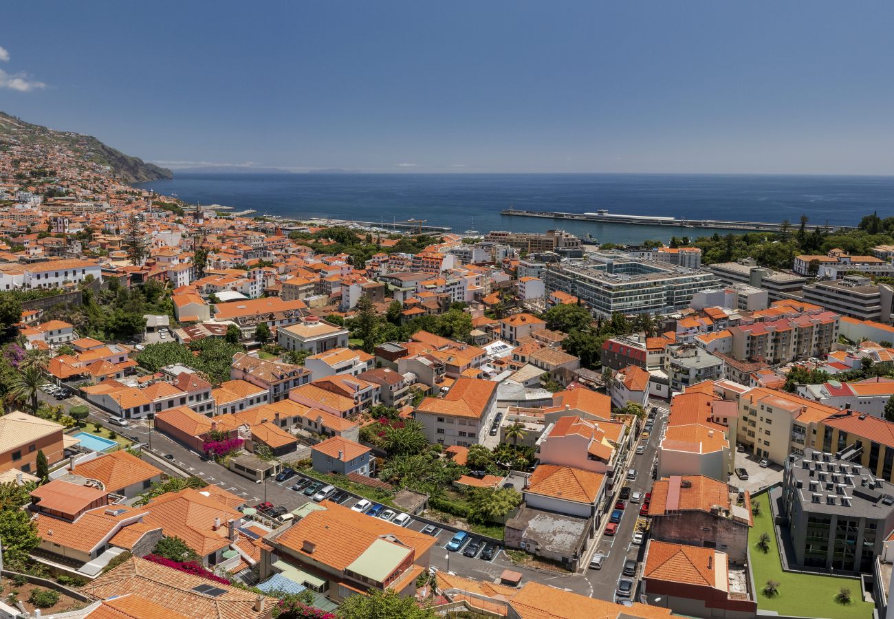 Villa in Funchal - Dragon Tree House
