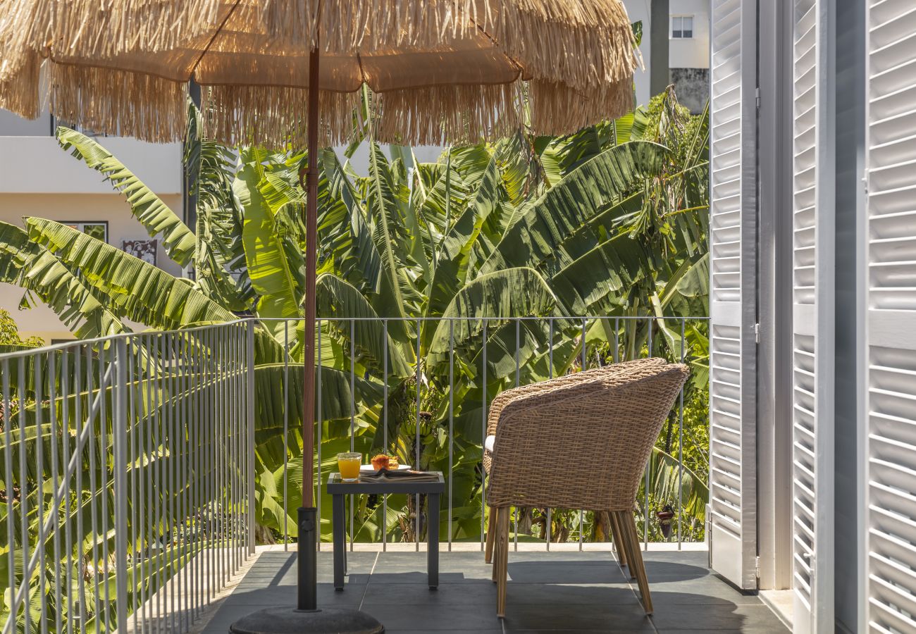 Villa in Funchal - Dragon Tree House