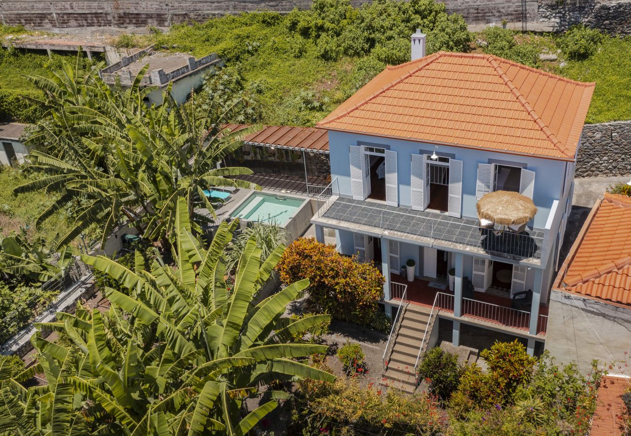 Villa in Funchal - Dragon Tree House