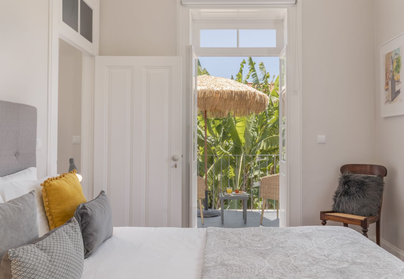 Villa in Funchal - Dragon Tree House