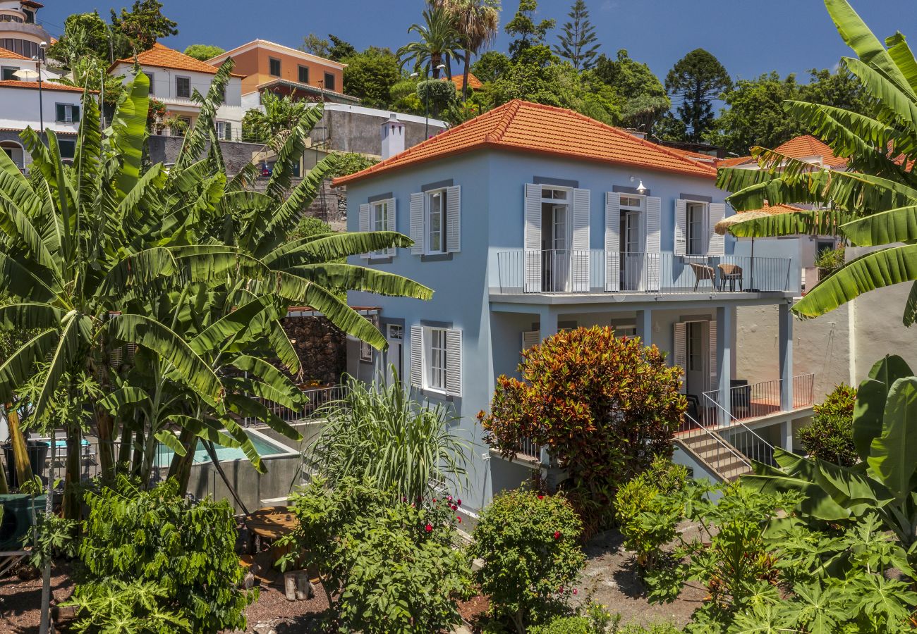 Villa in Funchal - Dragon Tree House