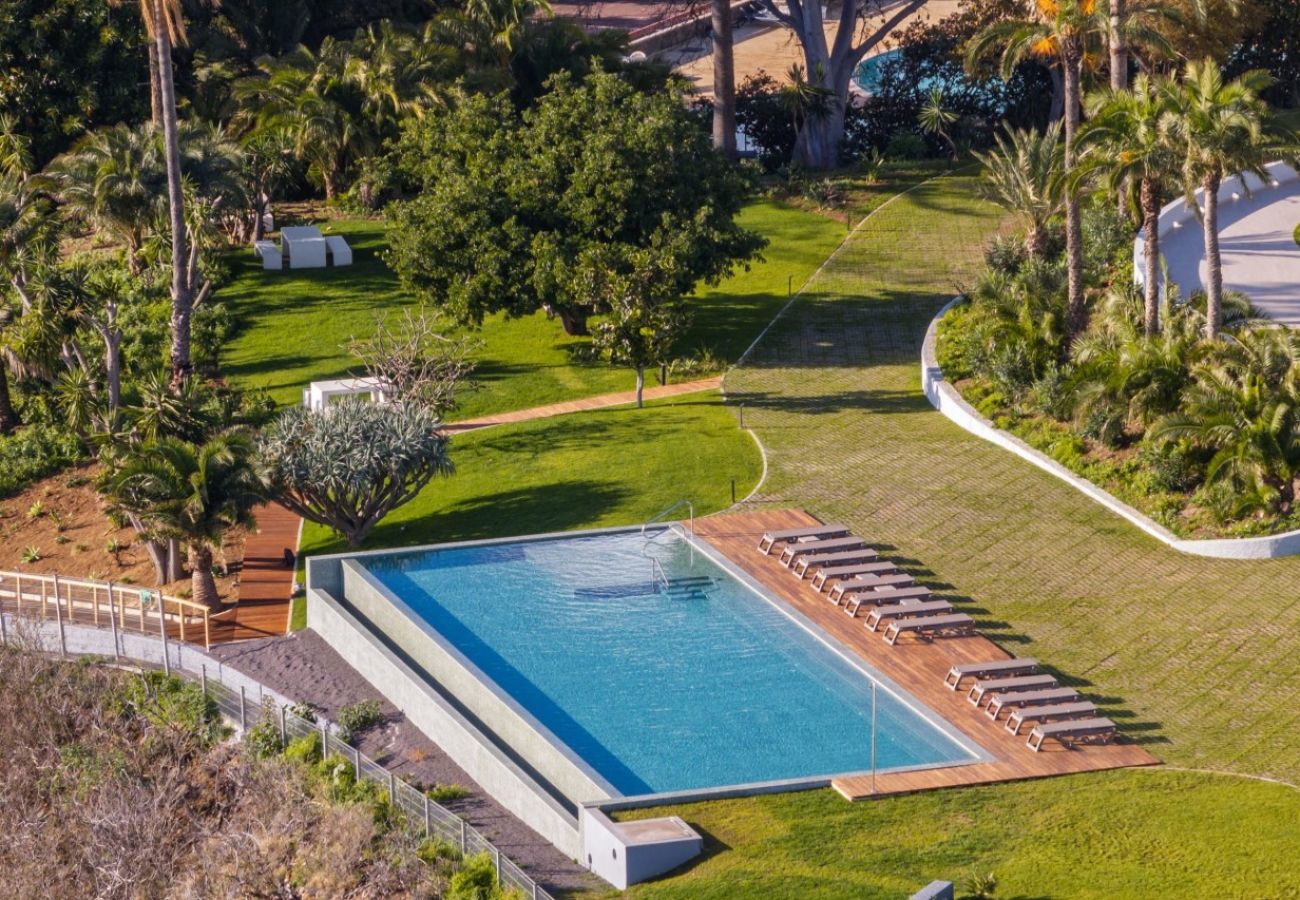 Apartment in Funchal - Jaracanda Court